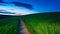 Picturesque winding path through a green grass field in hilly area at sunset