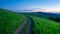 Picturesque winding path through a green grass field in hilly area at sunset