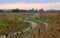 Picturesque winding road at summer meadow