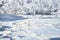 Picturesque winter landscape on the Dnieper River, covered with ice, snow and hoarfrost. View of the river and park in Dnepr city