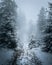 Picturesque winter landscape featuring a winding path blanketed in snow, lined with tall pine trees.