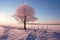 In a picturesque winter landscape, a lone tree stands with grace