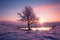 In a picturesque winter landscape, a lone tree stands with grace
