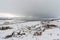 Picturesque winter landscape view of Thingvellir in Iceland