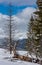 Picturesque winter mountain view from Skupova mountain slope with some withered windbreak trees. Ukraine, view to Chornohora ridge