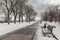 Picturesque winter stroll in the Kyiv city park