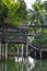 A picturesque wooden bridge over pond surrounded by jungle. Tall palm trees are reflected in the water