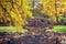 Picturesque wooden footbridge over a pond in Autumn