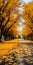 Picturesque Wooden Street Lined With Yellow Leaves
