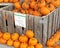 Pie Pumpkins for Sale at a Farmer`s Market