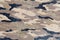 Piece of aircraft grunge metal background, army camo