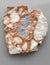 Piece of breccia rock isolated