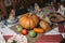 Piece of broken bread with pumpkin on the table