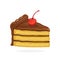 Ð piece of cake with chocolate cream and cherry