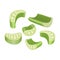 Piece celery vector icon.Cartoon vector icon isolated on white background piece celery.