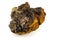 Piece of chaga mushroom