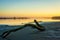 Piece of drift wood on shore of Coquille River in Bandon, Oregon during low tide at sunset.