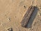 Piece of driftwood on beach with golden brown wet sand shining in sunlight next to the ocean