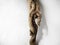 Piece of driftwood over white background