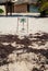 Piece of fenced beach to safeguard the eggs of turtles laid, in Tulum