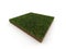 Piece of grass