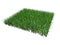 Piece of grass isolated