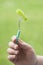 piece of green melon on frok in hand of woman in outdoor on greeen blurred background