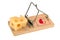 Piece of GruyÃ¨re on a mousetrap on a white background