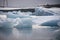 Piece of ice in Iceland, iceberg, black beach sand