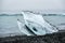 A piece of iceberg lying on the beach near Blue Lagoon Island.