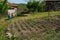 Piece of land behind a house in the countryside with young potato shoots, and a garden that also includes a beehive