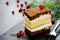 Piece of layer chocolate lemon cake decorated with cranberries f