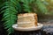 Piece of mocca almond cake on wood plate with green leaves background