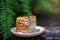 Piece of mocca almond cake on wood plate with green leaves background