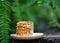 Piece of mocca almond cake on wood plate with green leaves background