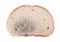 Piece of moldy bread