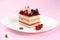 Piece of Multi-layered Berry and Pistachio Mousse Cake