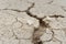 A piece of natural gypsum in cracked clay, deserted steppe fields with shrubs