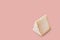 Piece of pecorino cheese. Top italian cheeses - Pecorino Cheese. Piece of italian pecorino cheese on pink background