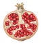 Piece of Pomegranate