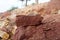 A piece of red shale sedimentary rock on nature background.