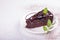 Piece of sachertorte sachr cake on whit plate. Top view, copy space
