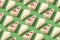 Piece slice cheesecake pattern on green background