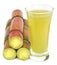 Piece of sugarcane juice