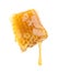 Piece of tasty fresh honeycomb isolated