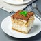 Piece of traditional italian Tiramisu dessert cake on white plate, decorated with cocoa powder and mint, on gray background,