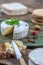 Piece and wheel of traditional Normandy soft cheese Camembert with country homemade bread, fresh aromatic herbs