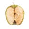 Piece of withering apple