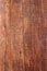 Piece of wood bark texture background