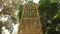 Pieces of bamboo are arranged neatly formed by a gate, a shady tree background